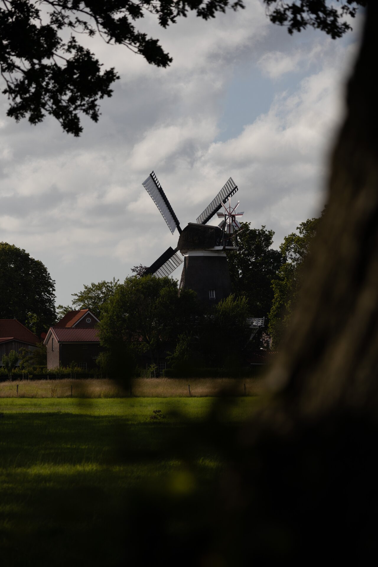 Webdesign & Webseiten für Friesland