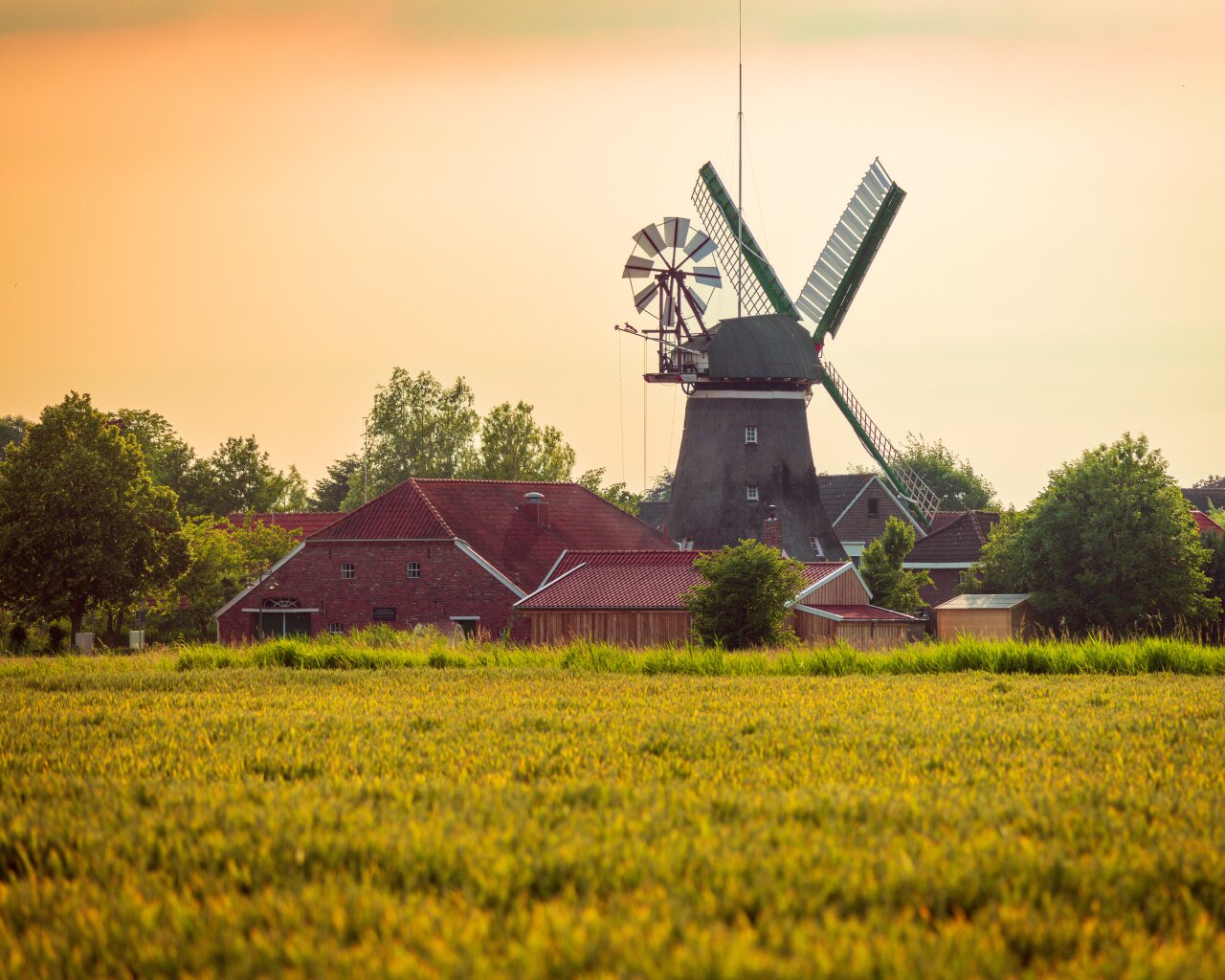 Webdesign & Webseiten für Friesland