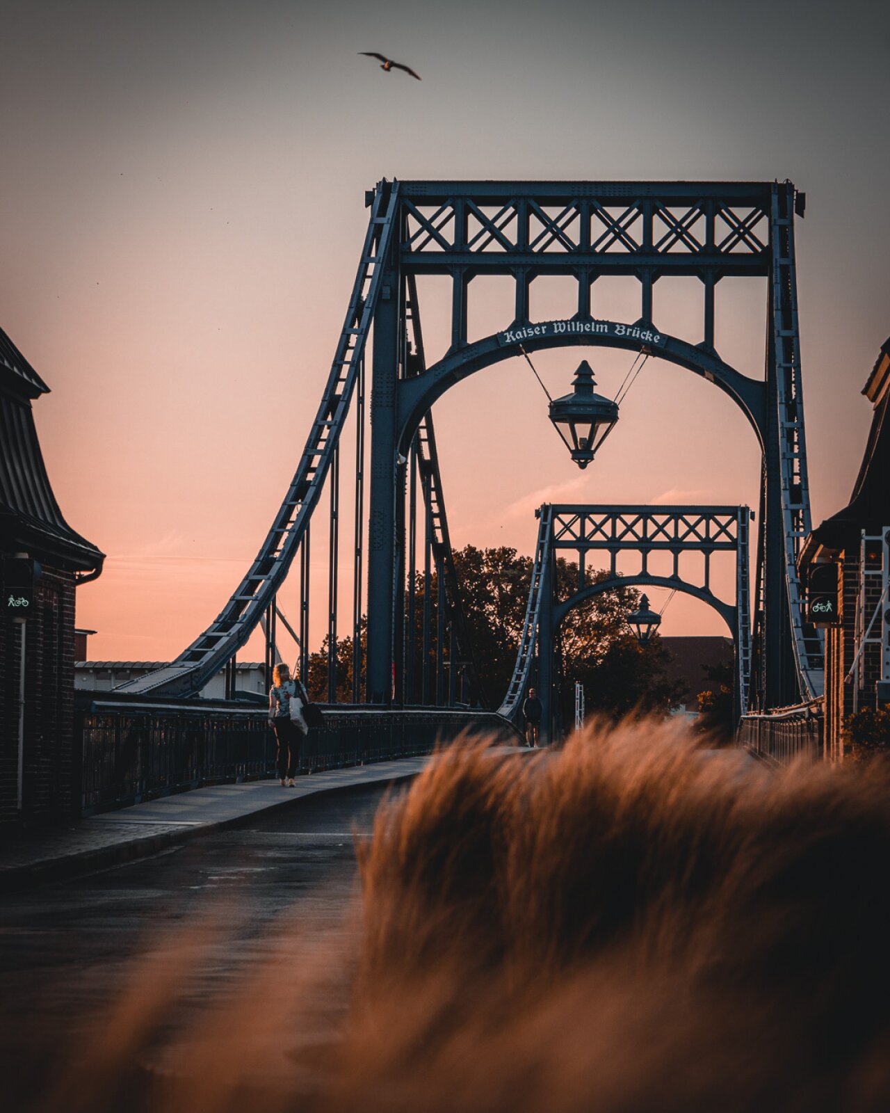 Webseiten & Webdesign für Wilhelmshaven