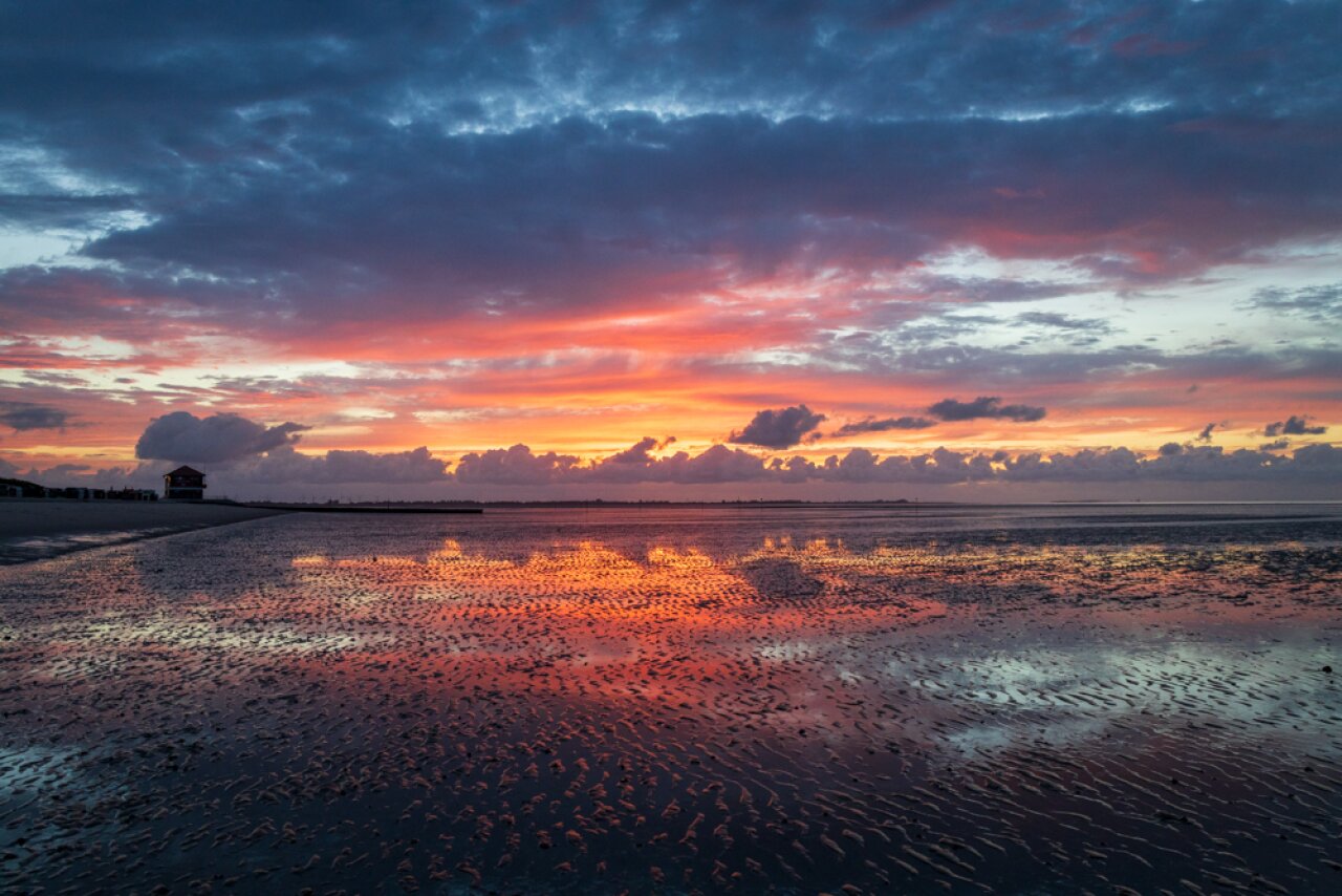 Webdesign & Webseiten für das Wangerland
